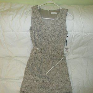 Calvin Klein Tan Knit Dress with Lining Size 6P